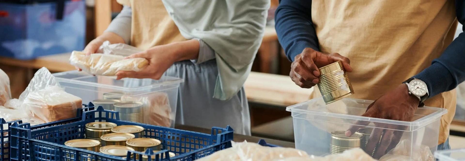 Master of Social Work